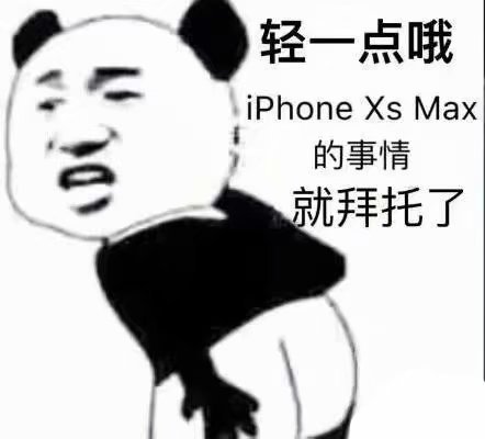 熊猫头:轻一点哦 iphone xs max的事情就拜托了 diy斗图表情 diy