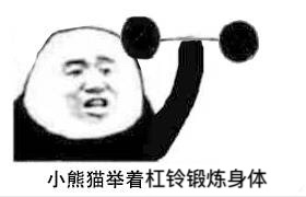 小熊猫举着杠铃锻炼身体-