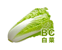 BC-白菜-