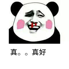 熊猫头流鼻血表情-1 -