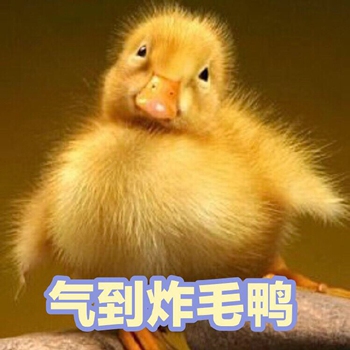 可爱小鸭鸭表情包7-