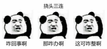 熊猫头不停的挠头表情包-4 