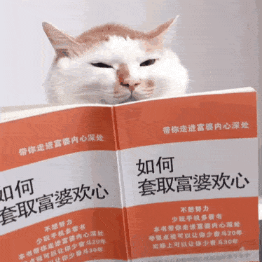 猫咪看书：如何套取富婆欢心