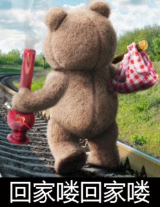 泰迪熊表情包-回家喽回家喽-