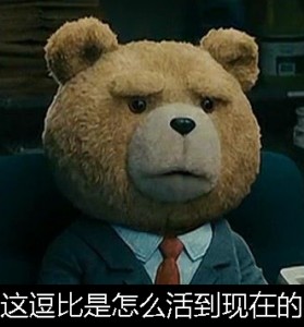 泰迪熊表情包-这逗比是怎么活到现在的-
