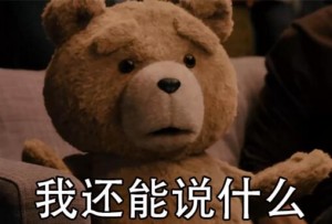 泰迪熊表情包-我还能说什么-