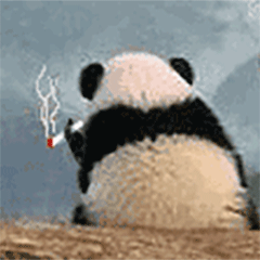 熊猫落寞的背景抽着烟动态图表情包-装逼,抽烟,gif
