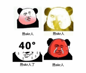 热skr人-skr,熊猫头,热