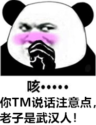 熊猫头：说话注意点，老子是武汉人