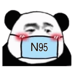 熊猫头戴着N95口罩表情