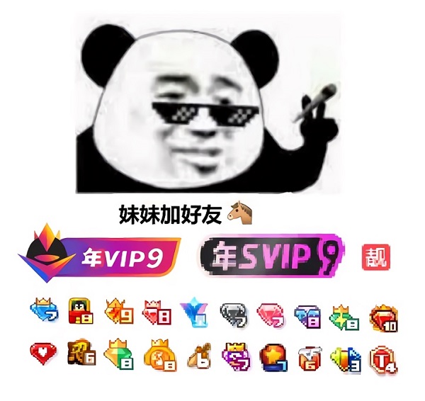 QQ满级VIP熊猫头：妹妹加好友