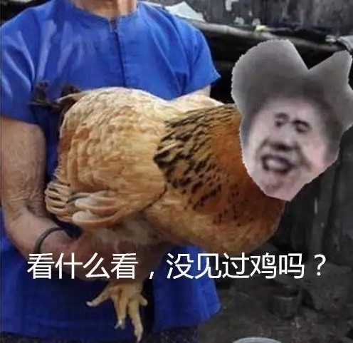 看什么看，没见过鸡你太美啊-恶搞,蔡徐坤