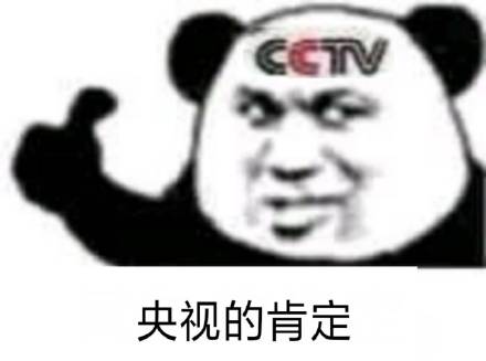 cctv熊猫头点赞👍：央视的肯定