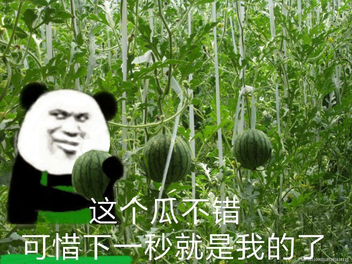 熊猫头偷西瓜🍉：这个瓜不错，可惜下一秒就是我的了