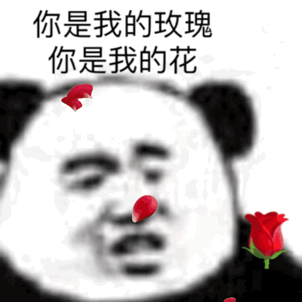 熊猫头拿着玫瑰花：你是我的玫瑰，你是我的花