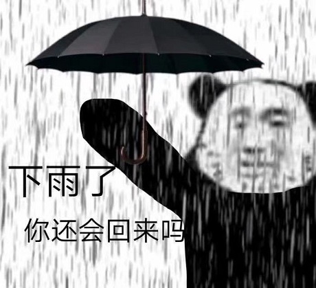 熊猫头大雨中流泪打伞：下雨了，你还会回来吗