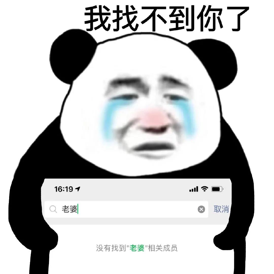 熊猫头流泪：老婆，微信搜索_我找不到你了
