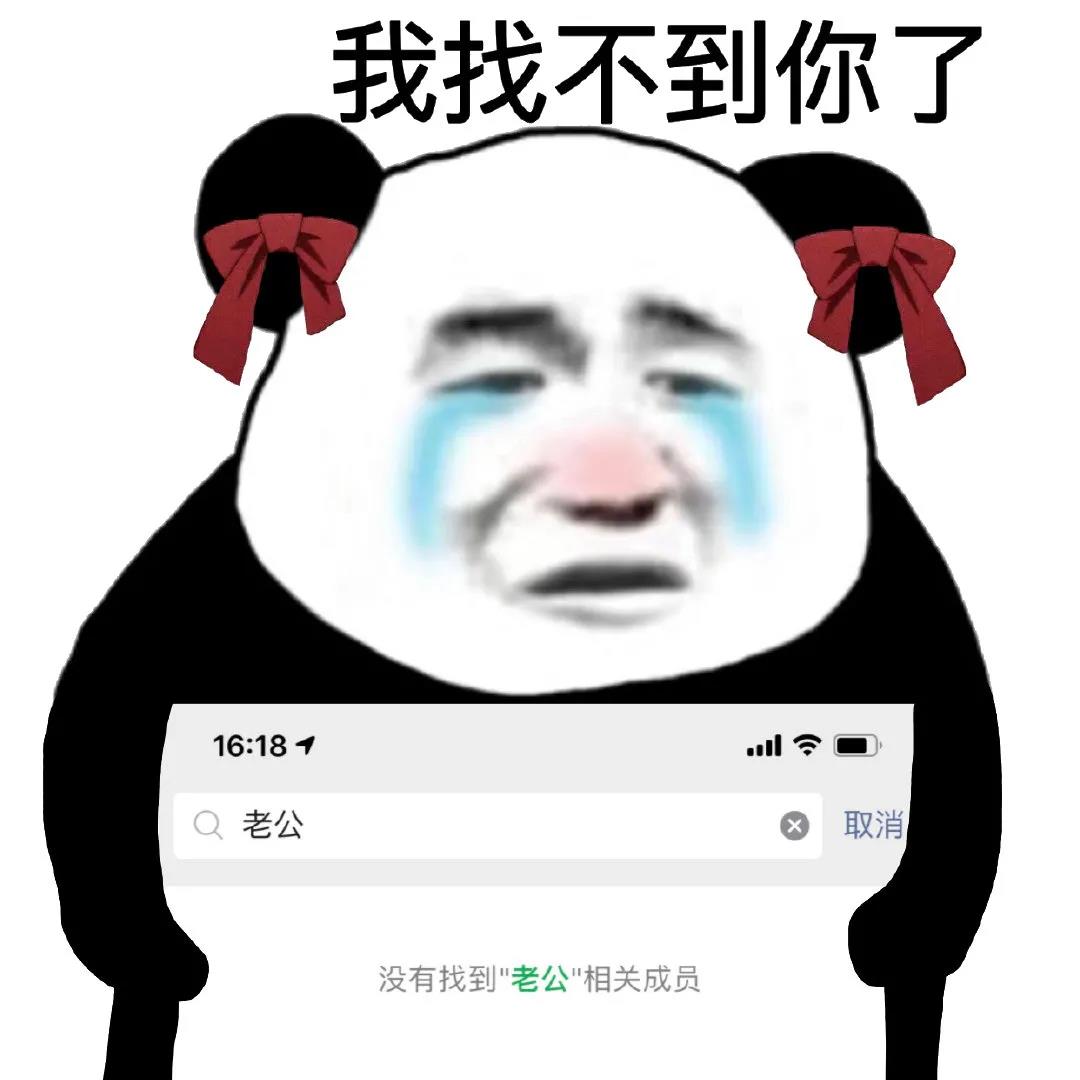 熊猫头流泪：老公，微信搜索_我找不到你了-熊猫头,老公,流泪