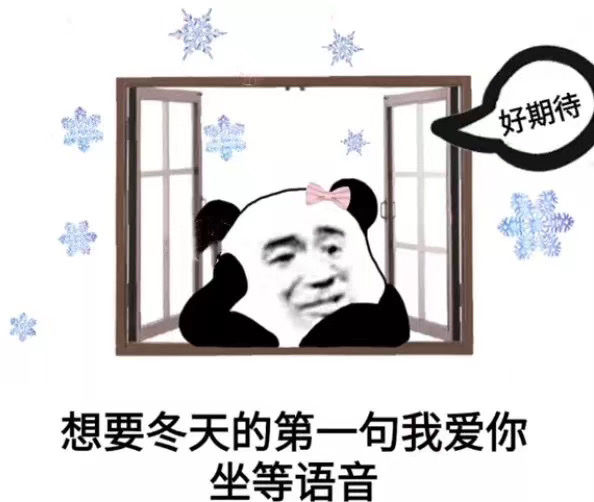 熊猫头：想要冬天的第一句我爱你-熊猫头,冬天,我爱你