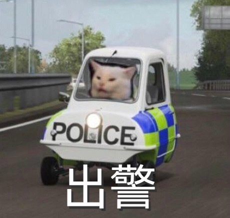 [高清]猫咪坐着警车POLICE巡逻：出警啦-猫,警车出警