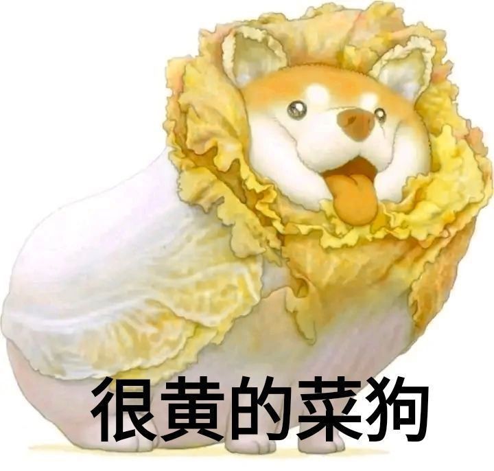 QQ彩色菜狗表情包图片