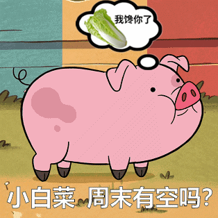 猪拱白菜的情头卡通图片