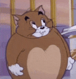 摇头的胖胖的棕色迷茫的猫猫GIF动图