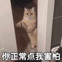 猫咪害怕的关了门：你正常点我害怕-我害怕表情包,猫咪表情包,关门表情包