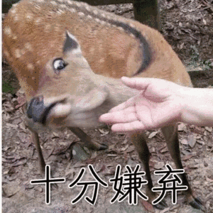 梅花鹿：与你握手十分嫌弃-鹿,嫌弃,握手