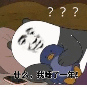 熊猫头：什么？？我睡了一年！