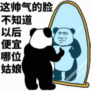 熊猫头：这帅气的脸不知道以后要便宜哪位姑娘-熊猫头,照镜子