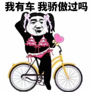 熊猫头留着长发穿着比基尼骑着自行车：我有车 我骄傲过吗-熊猫头,搞笑,装逼