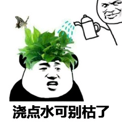 熊猫头头上长绿色植物：浇点水可别枯了-熊猫头,搞笑