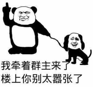 熊猫头牵着群主：我牵着群主来了，楼上你别太嚣张了-熊猫头,搞笑,装逼,群主