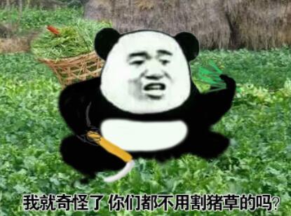熊猫头背着竹筐割猪草：我就奇怪了， 你们都不用割猪草的吗