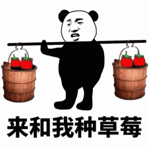 熊猫头拎着两框草莓：来和我种草莓