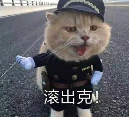 猫咪cos警察：滚出克！