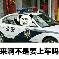 熊猫头坐在警车内：来啊 不是要上车吗