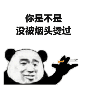 熊猫头：你是不是没被烟头烫过-熊猫头,搞笑,装逼,gif,动图