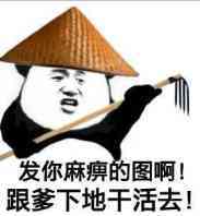 熊猫头戴着竹帽子：发你麻痹的图啊！跟爹下地干活去!