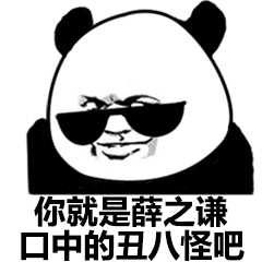 熊猫头戴着墨镜：你就是薛之谦口中的丑八怪吧！-熊猫头,搞笑,装逼