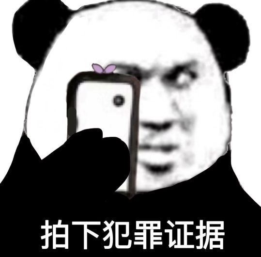 熊猫头拿起手机拍下犯罪证据-熊猫头,搞笑,装逼
