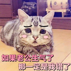 可爱猫咪粉色文字表情包-1 