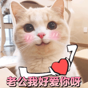 可爱猫咪粉色文字表情包-3 
