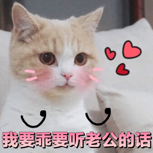 可爱猫咪粉色文字表情包-5 