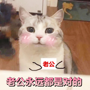 可爱猫咪粉色文字表情包-6 