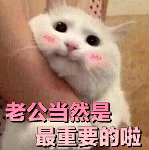 可爱猫咪粉色文字表情包-8 