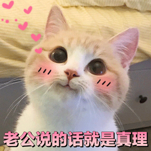 可爱猫咪粉色文字表情包-9 -