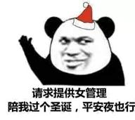 熊猫头过圣诞节表情包-12