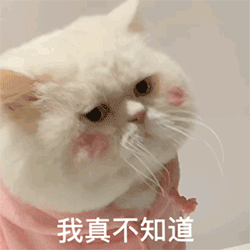 网红大脸猫表情包-27